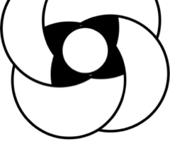 IN.PACT